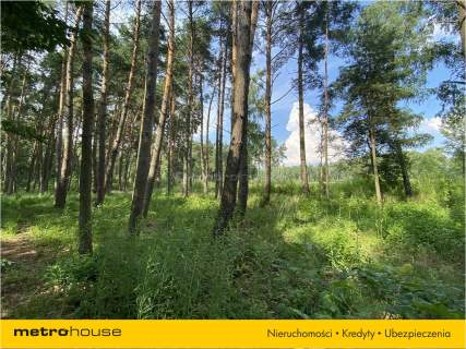Działka leśna na sprzedaż, 1800 m2, Lesznowola