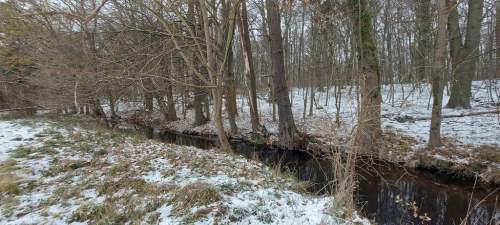 Działka w miejscowości Budzieszowce 3800 m2