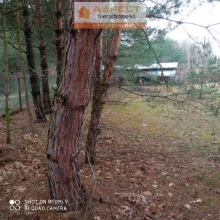 Leżajsk działka pod lasem - 13,91 ar