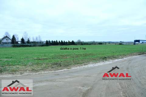 Działka inwestycyjna w Łebczu