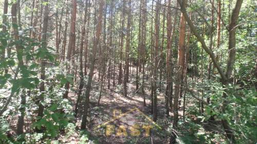 Działka leśna w Otwocku