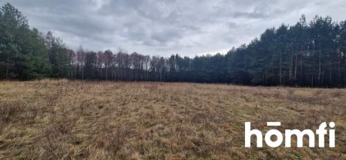 Działka 1,37 ha przy lesie Zabudowa zagrodowa