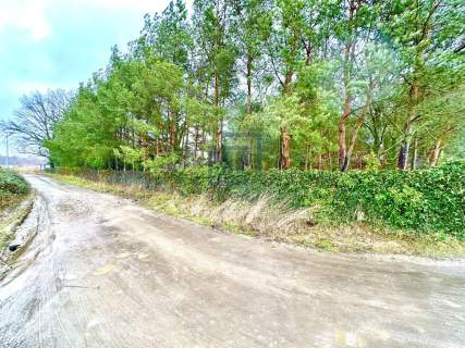 Pięknia działka budowlana 1194 m2 - Zajączków