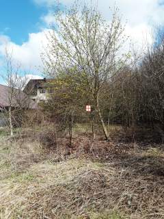 Działka budowlana na sprzedaż, 850 m2, Ostrów