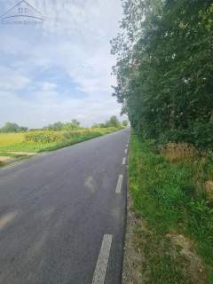 Atrakcyjne działki budowlane w Marchwaczu