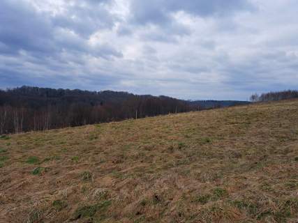 Wola Lubecka działka budowlano-rolna 1,20 ha