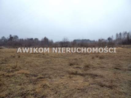 Działka budowlana na sprzedaż, 1600 m2, Tartak Brzózki