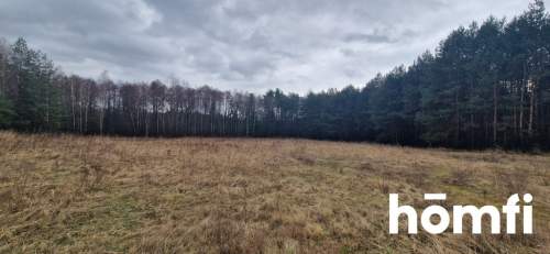 Działka 1,37 ha przy lesie Zabudowa zagrodowa