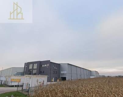 Magazyn do wynajęcia, 1200 m2, Macierzysz