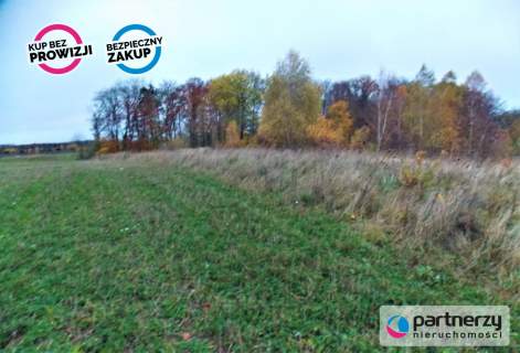 Działka pod lasem 15km od Gdańska.