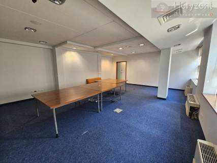 Lokal 150/700m2, serce miasta 30zł/1m2 vat