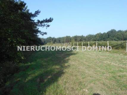 Działka rolna na sprzedaż, 6800 m2, Bronowice