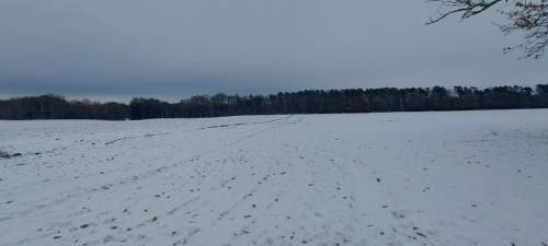 Działka przy Jeziorze Budzieszowskim 1,7 ha