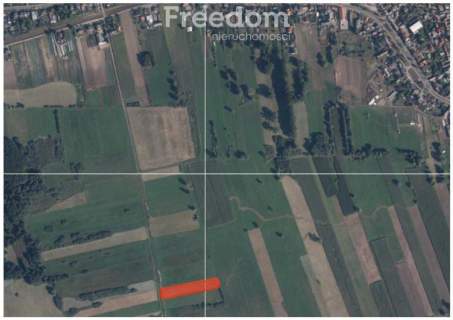 DZIAŁKA OSIEK NAD NOTECIĄ NR 569