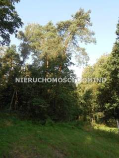 Działka rolna na sprzedaż, 6800 m2, Bronowice