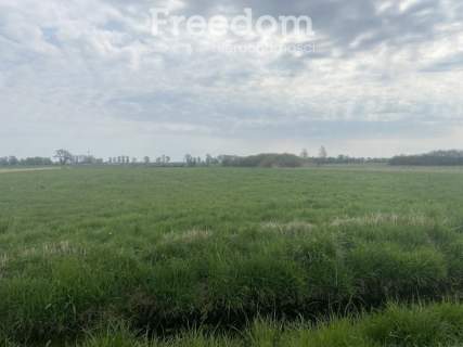 DZIAŁKA OSIEK NAD NOTECIĄ NR 641