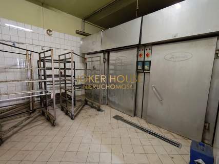 Hala 600 m2, z wyposażeniem pod produkcję mięsa 