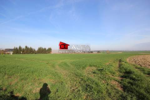 Działka 13 arów nieopodal Żarowa 