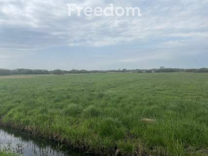 DZIAŁKA OSIEK NAD NOTECIĄ NR 641