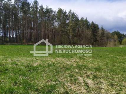 działka między lasem a jeziorem Jałowu