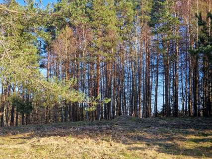Działka budowlana w Koleczkowie z prywatnym lasem