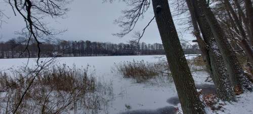 Działka przy Jeziorze Budzieszowskim 1,7 ha
