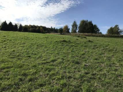 Piękna okolica 37 km od serca Krakowa