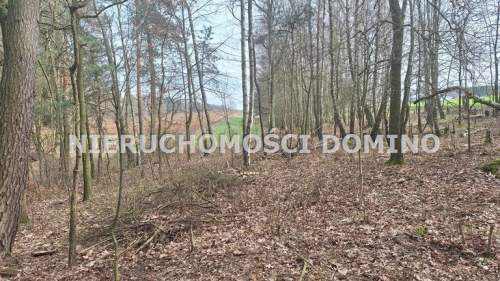 Działka rolna na sprzedaż, 6800 m2, Bronowice