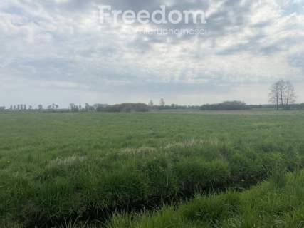 DZIAŁKA OSIEK NAD NOTECIĄ NR 569