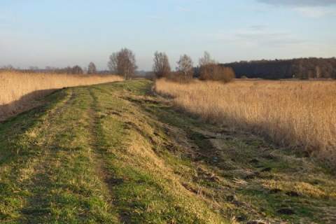 Działka nad jeziorem