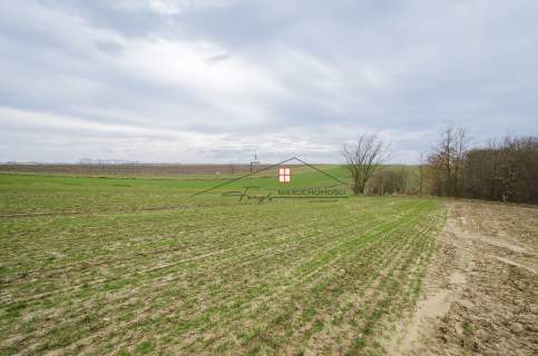 Dzialka z WZ/ Kruhel Pawłosiowski