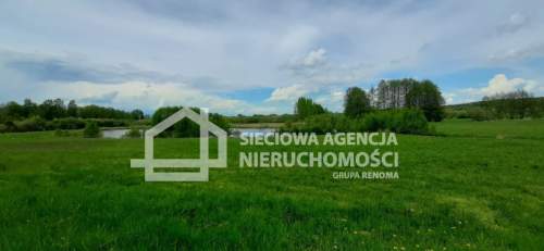 działka między lasem a jeziorem Jałowu