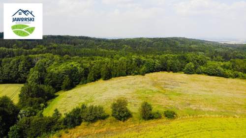 Działka rolna w Pogorzale - Jeziorko Daisy