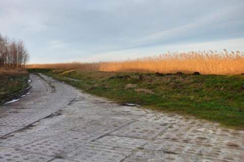 Działka nad jeziorem