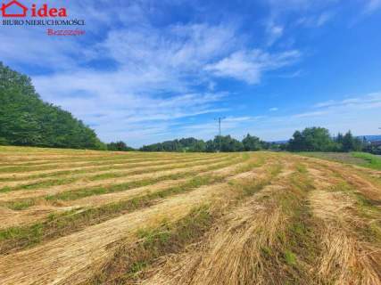 Działka budowlana na sprzedaż, 4500 m2, Brzozów
