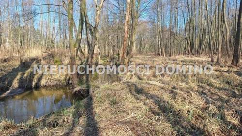Działka rolna na sprzedaż, 6800 m2, Bronowice