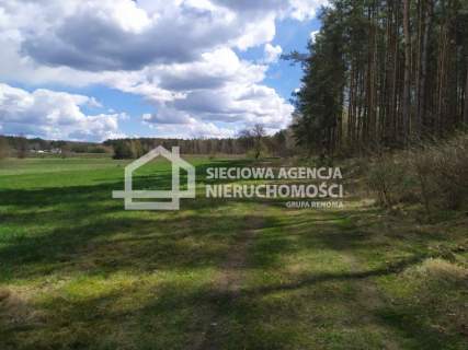 działka między lasem a jeziorem Jałowu