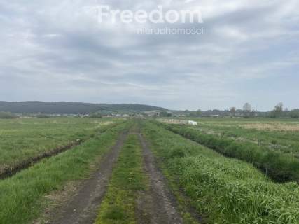 DZIAŁKA OSIEK NAD NOTECIĄ NR 569