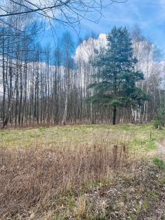 Działka nad jeziorem