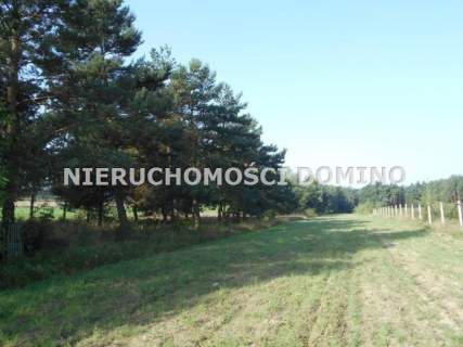 Działka rolna na sprzedaż, 6800 m2, Bronowice