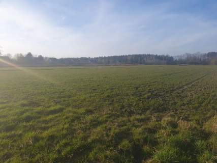 pod dom, osiedle, kilka działek do wyboru