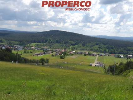 Budynek usługowy, 300 m2 z działką, Niestachów