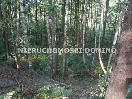 Działka rolna na sprzedaż, 6800 m2, Bronowice