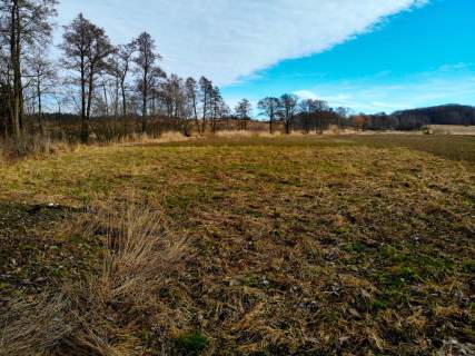Działka Wilkanów