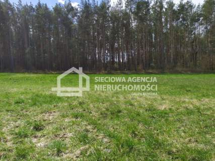 działka między lasem a jeziorem Jałowu