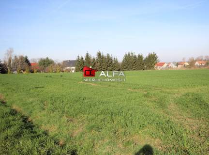 Działka 13 arów nieopodal Żarowa 