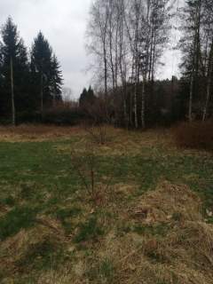 Działka1099m2,Stawno,gm.Goleniów,pod lasem.