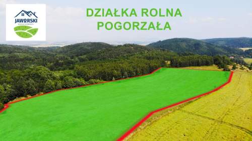 Działka rolna w Pogorzale - Jeziorko Daisy