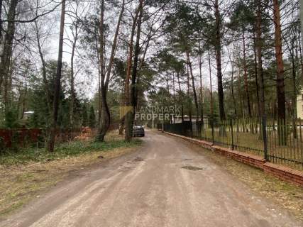 Zalesiona działka z mpzp zabudowa jednorodzinna