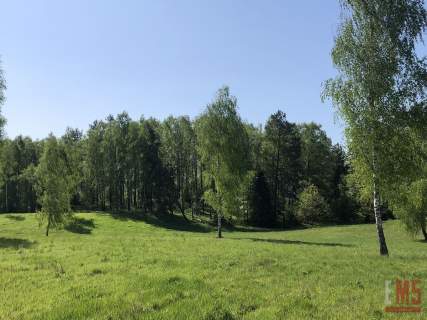 Działka budowlana wśród mazurskich lasów 